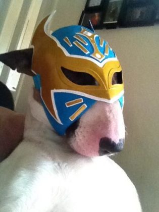 45742266_2167840478_61large